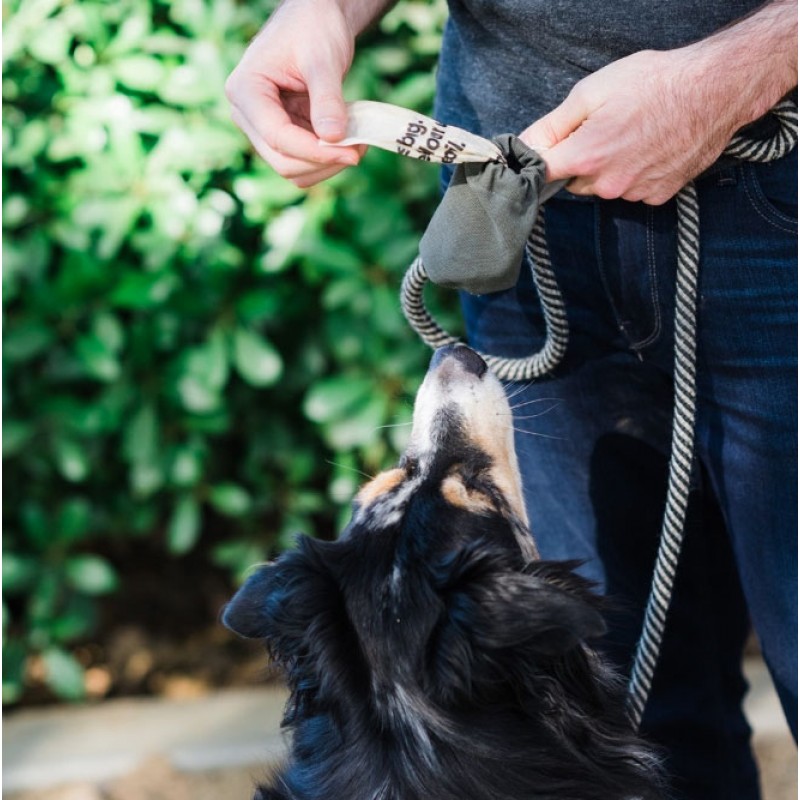 Manufacturer Supply Durable Dogs Chewer Training Bite Tpr Rubber Teeth Grind Toys for Pet Dogs 